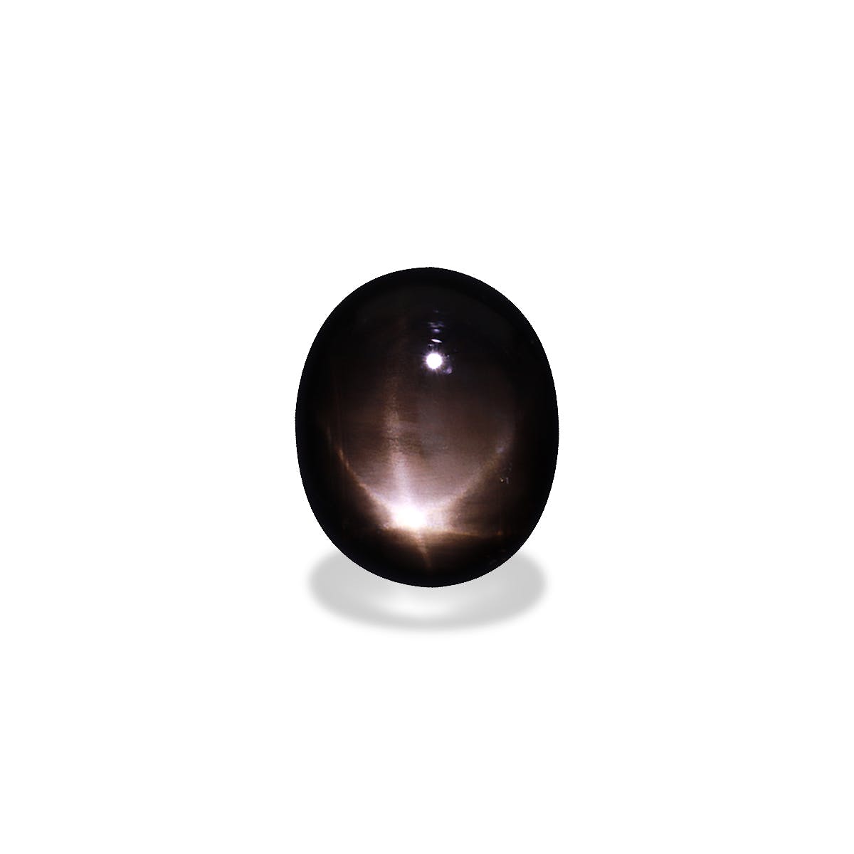 Star Sapphire>Black Star Sapphire Oval Cabochon Black