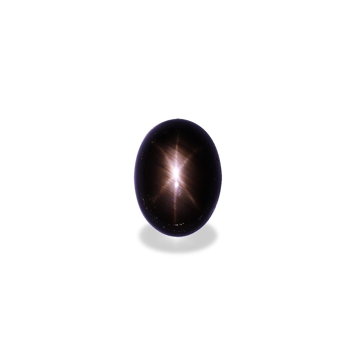 Star Sapphire>Black Star Sapphire Oval Cabochon Black