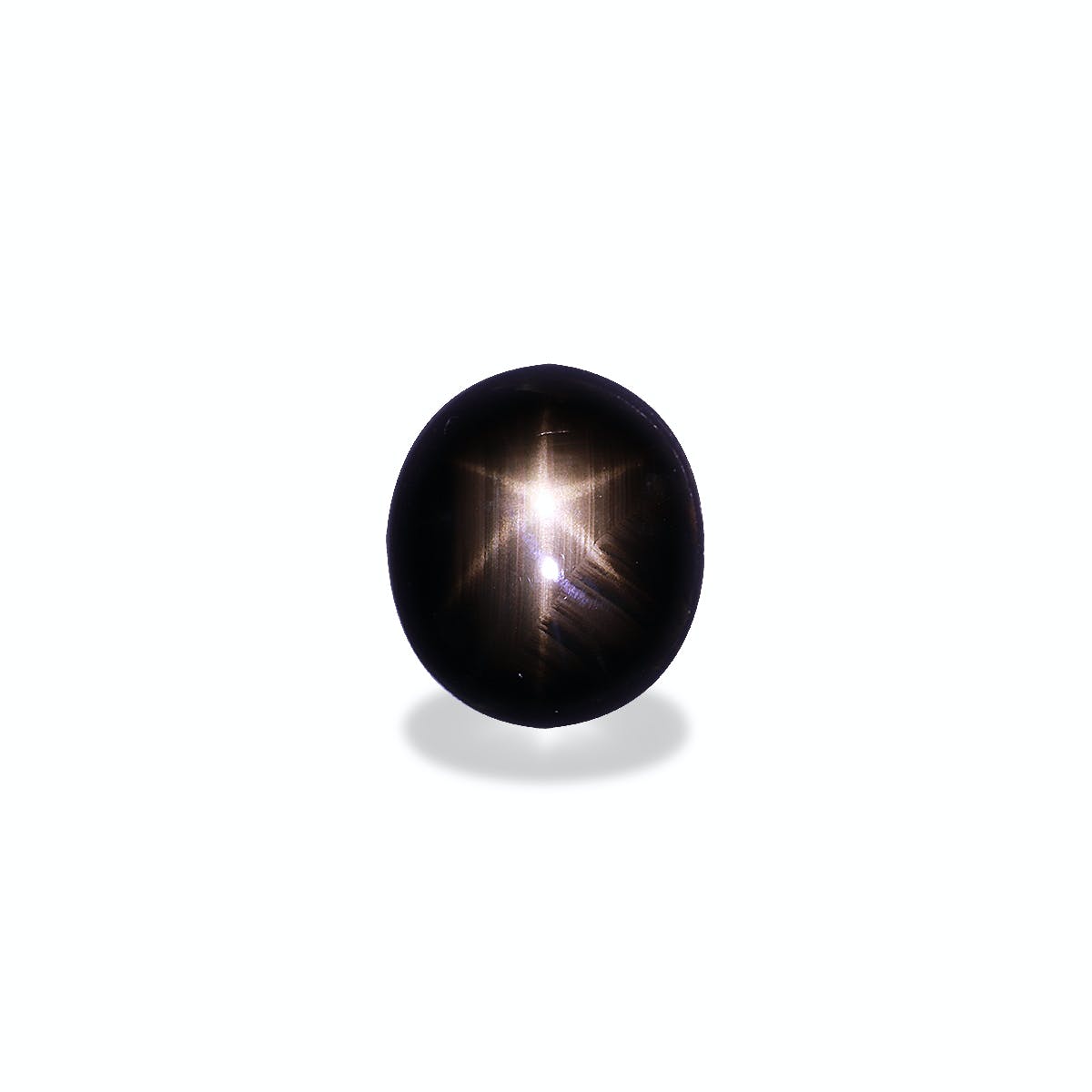 Star Sapphire>Black Star Sapphire Oval Cabochon Black