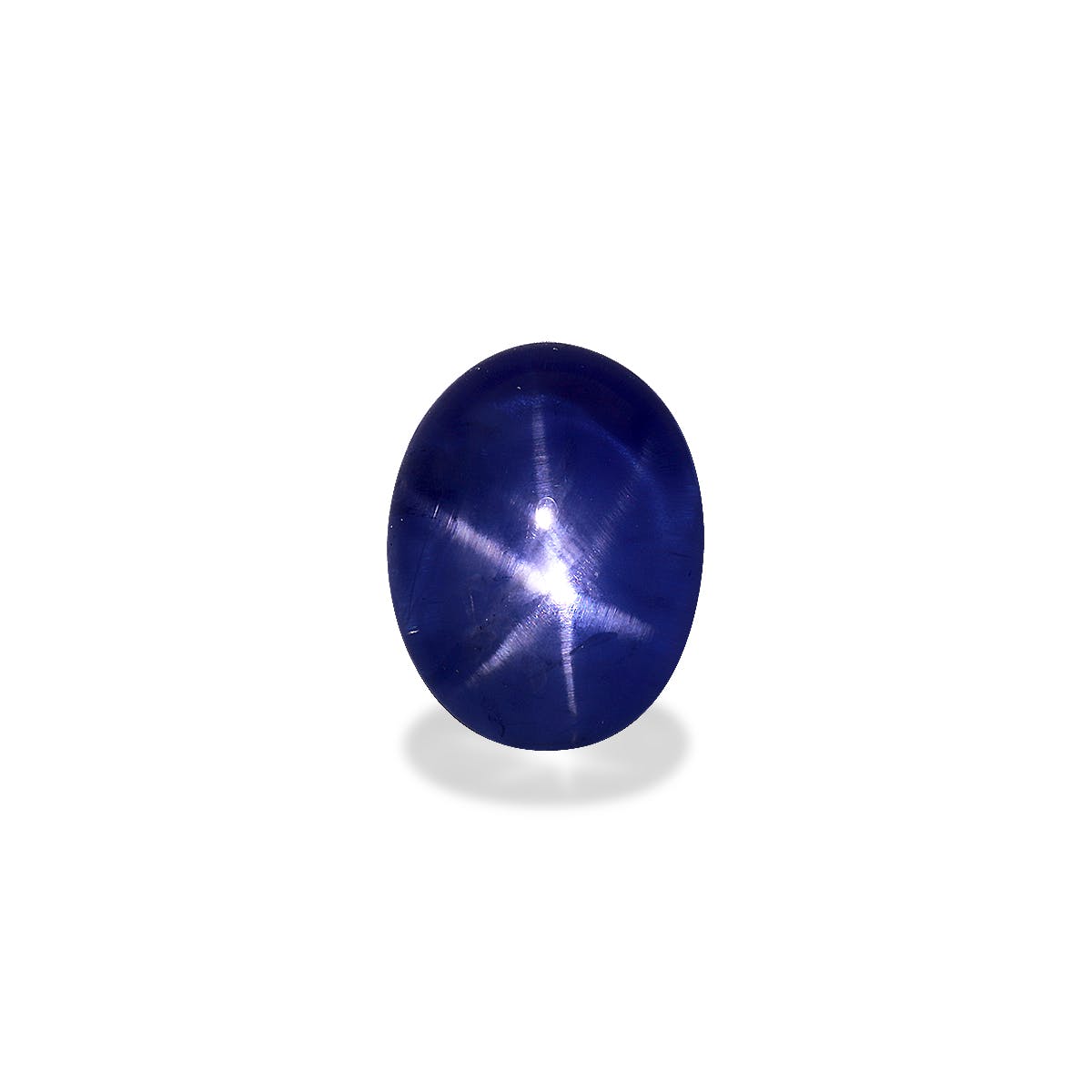 Star Sapphire>Blue Star Sapphire Oval Cabochon Blue