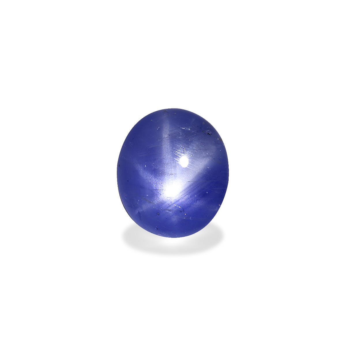 Star Sapphire>Blue Star Sapphire Oval Cabochon Blue