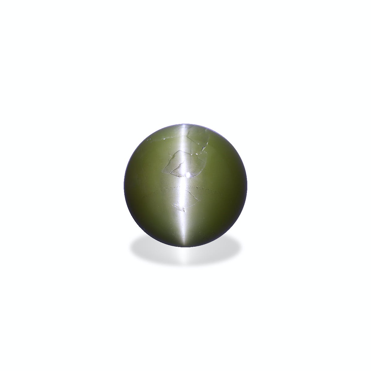 Cats Eye Round Cabochon Forest Green