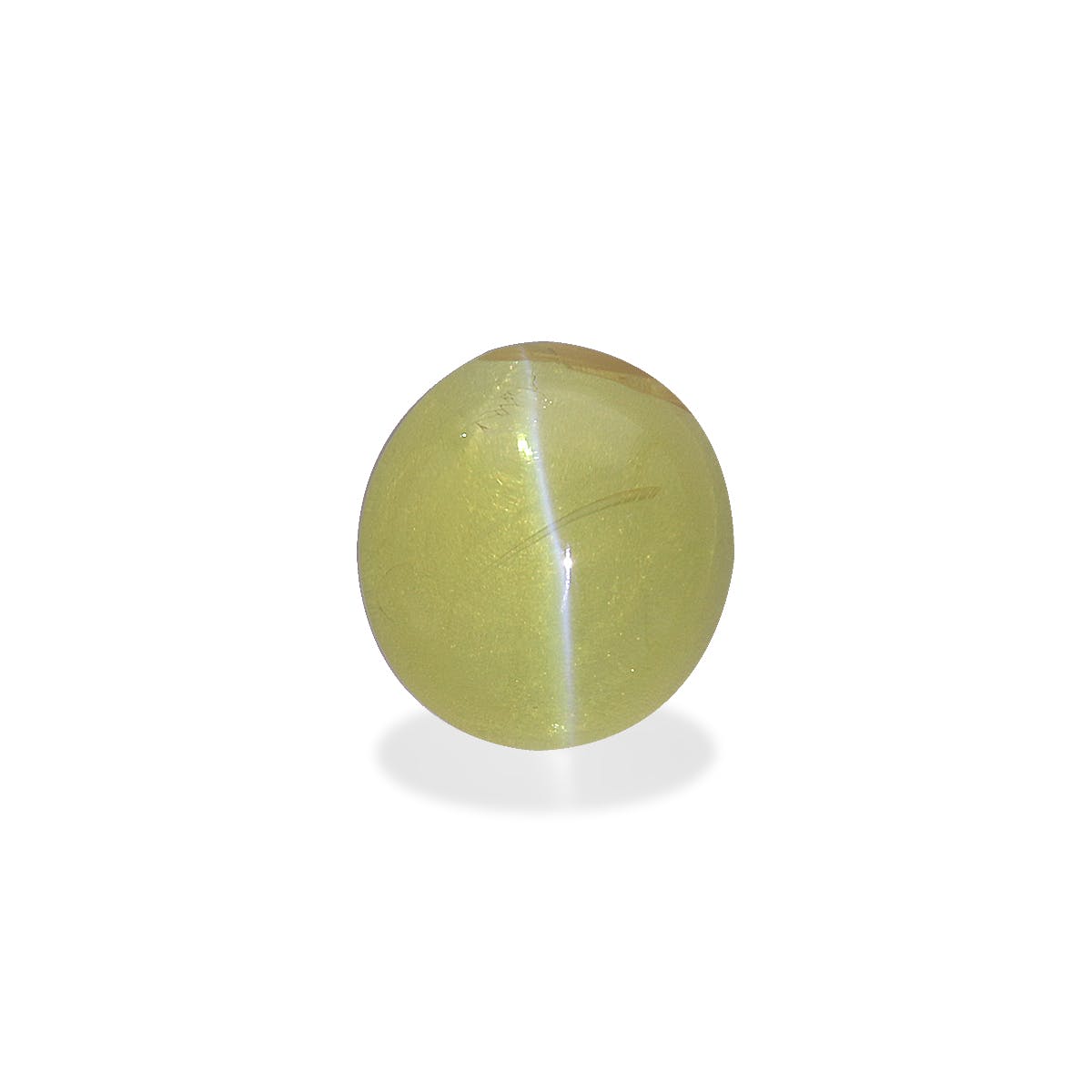 Cats Eye Oval Cabochon Lime Green