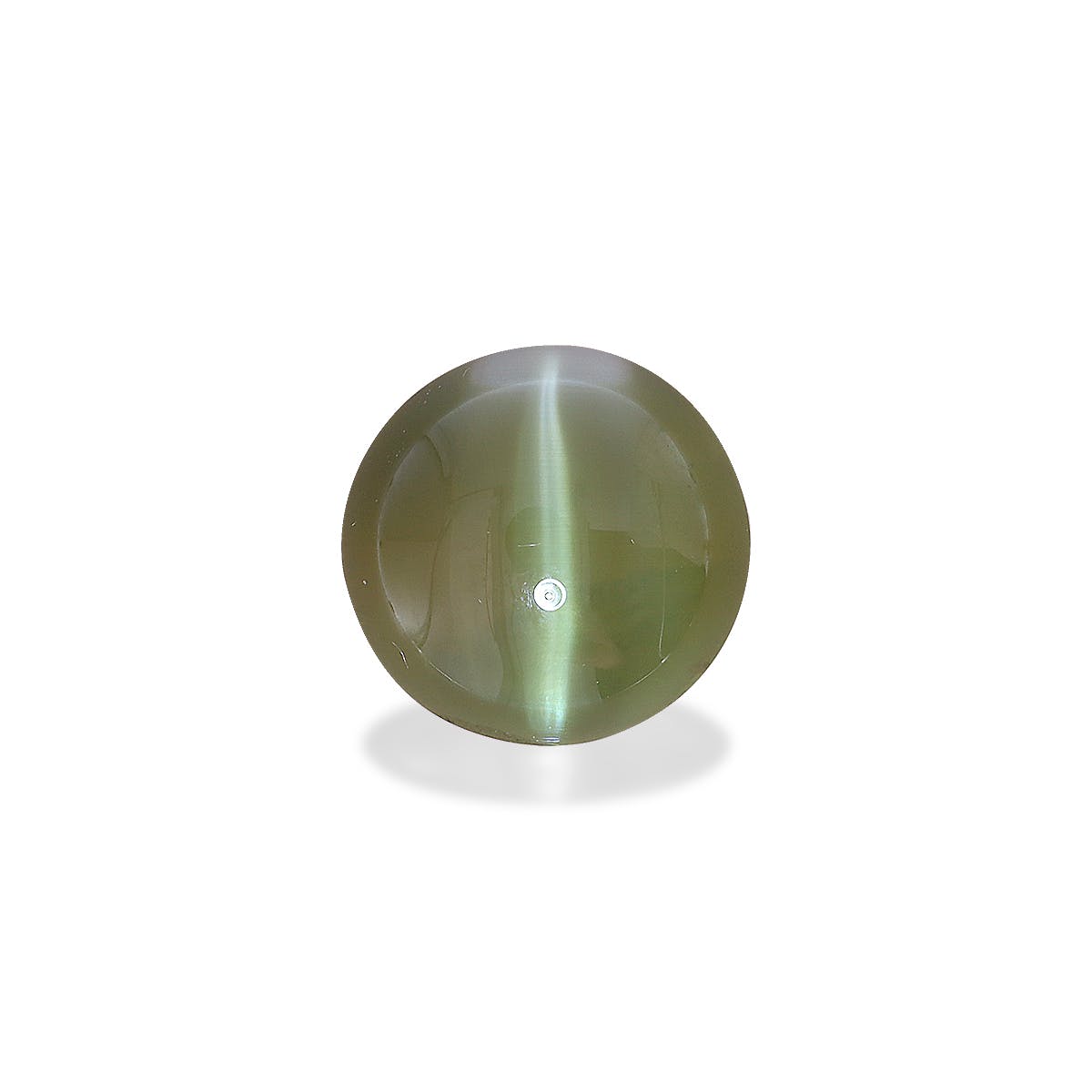 Cats Eye Round Cabochon Forest Green