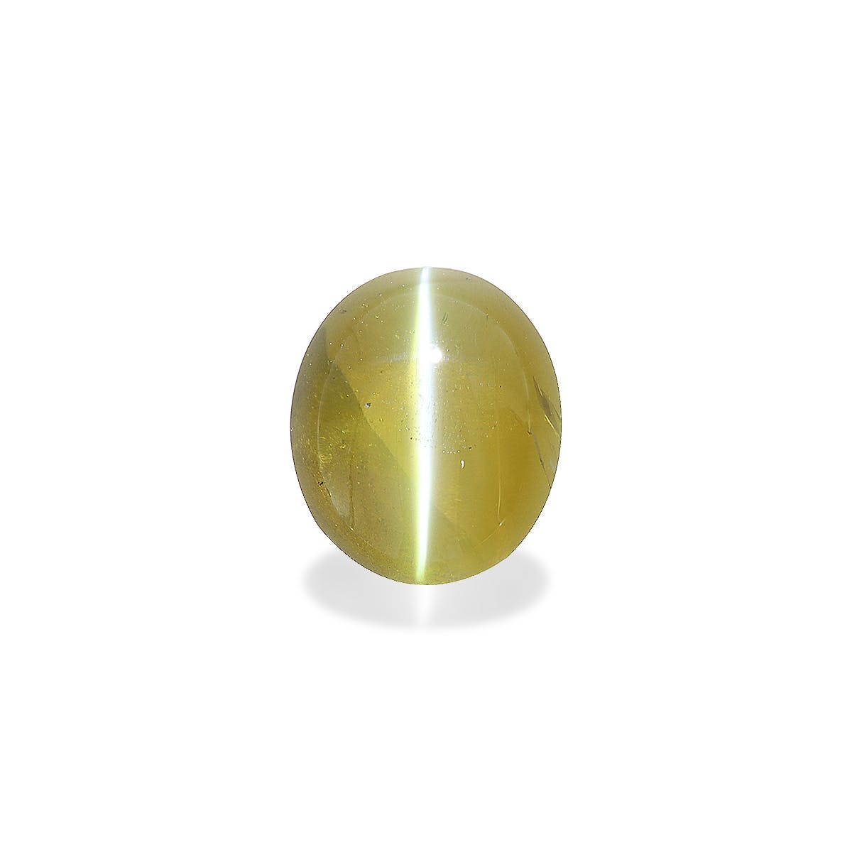 Cats Eye Oval Cabochon Corn Yellow