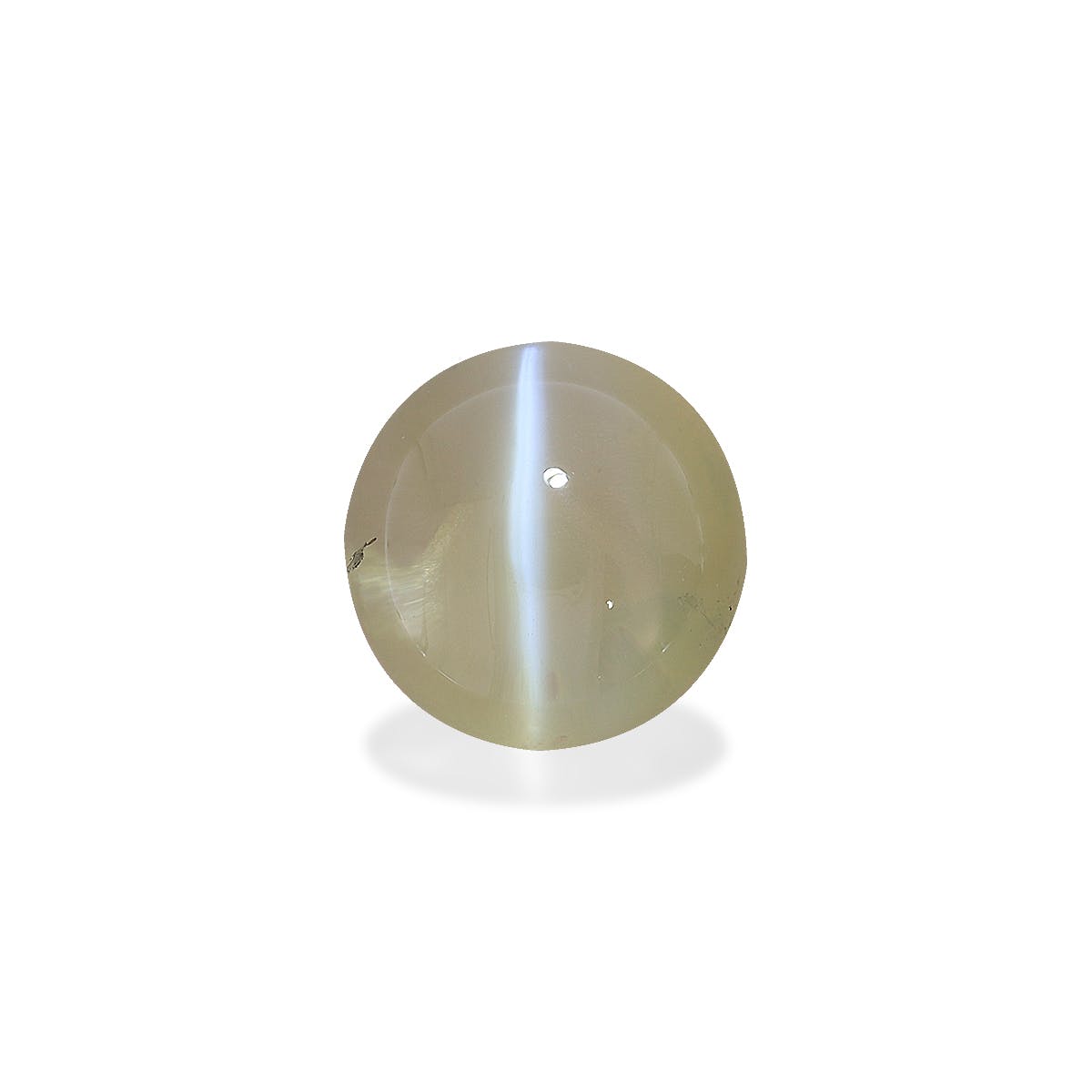 Cats Eye Round Cabochon Daffodil Yellow