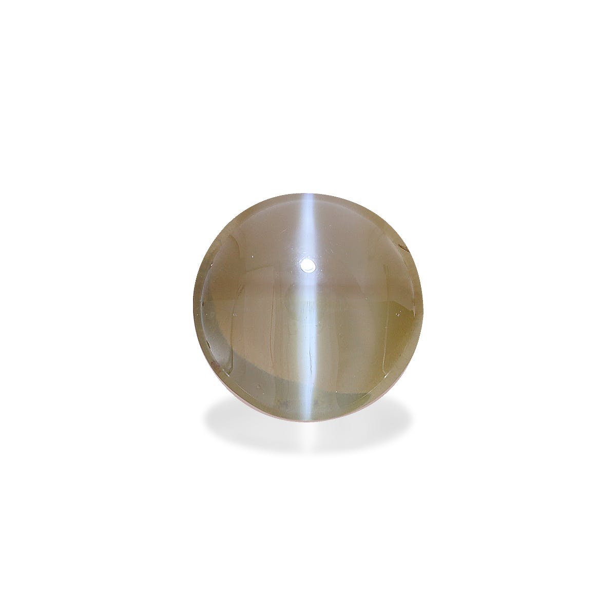 Cats Eye Round Cabochon Corn Yellow