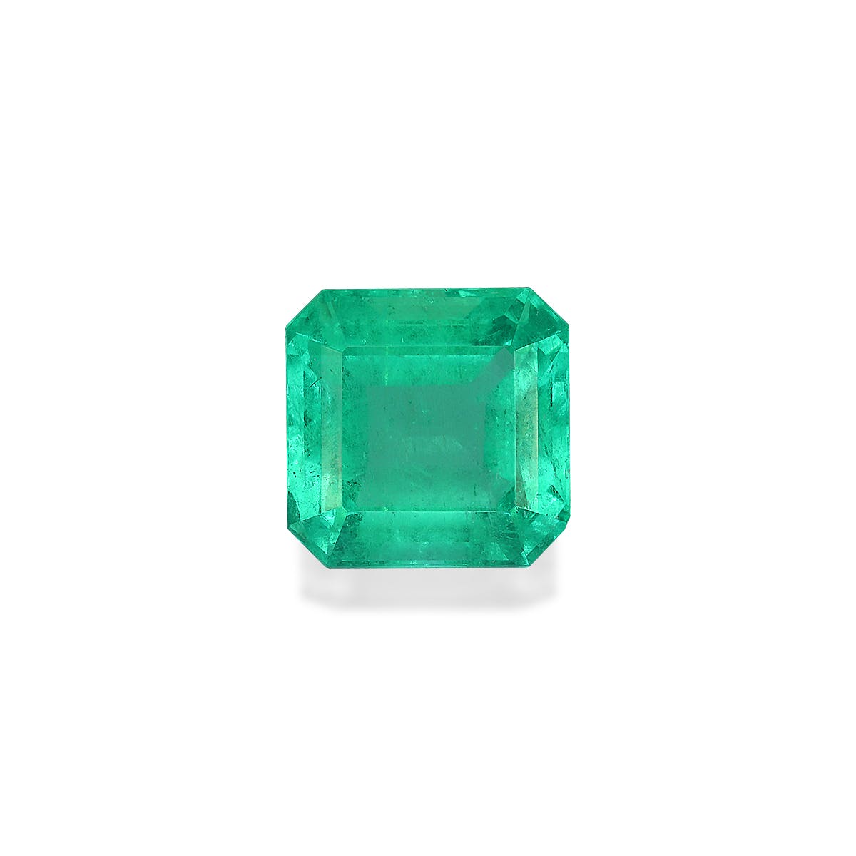 Colombian Emerald Square Asscher Cut Green