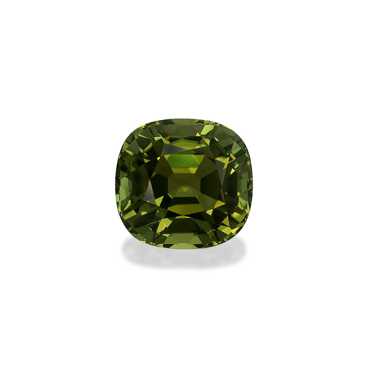 Cuprian Tourmaline Cushion Fine Step Cut Forest Green