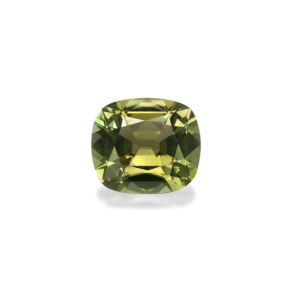 Cuprian Tourmaline Cushion Fine Step Cut Forest Green