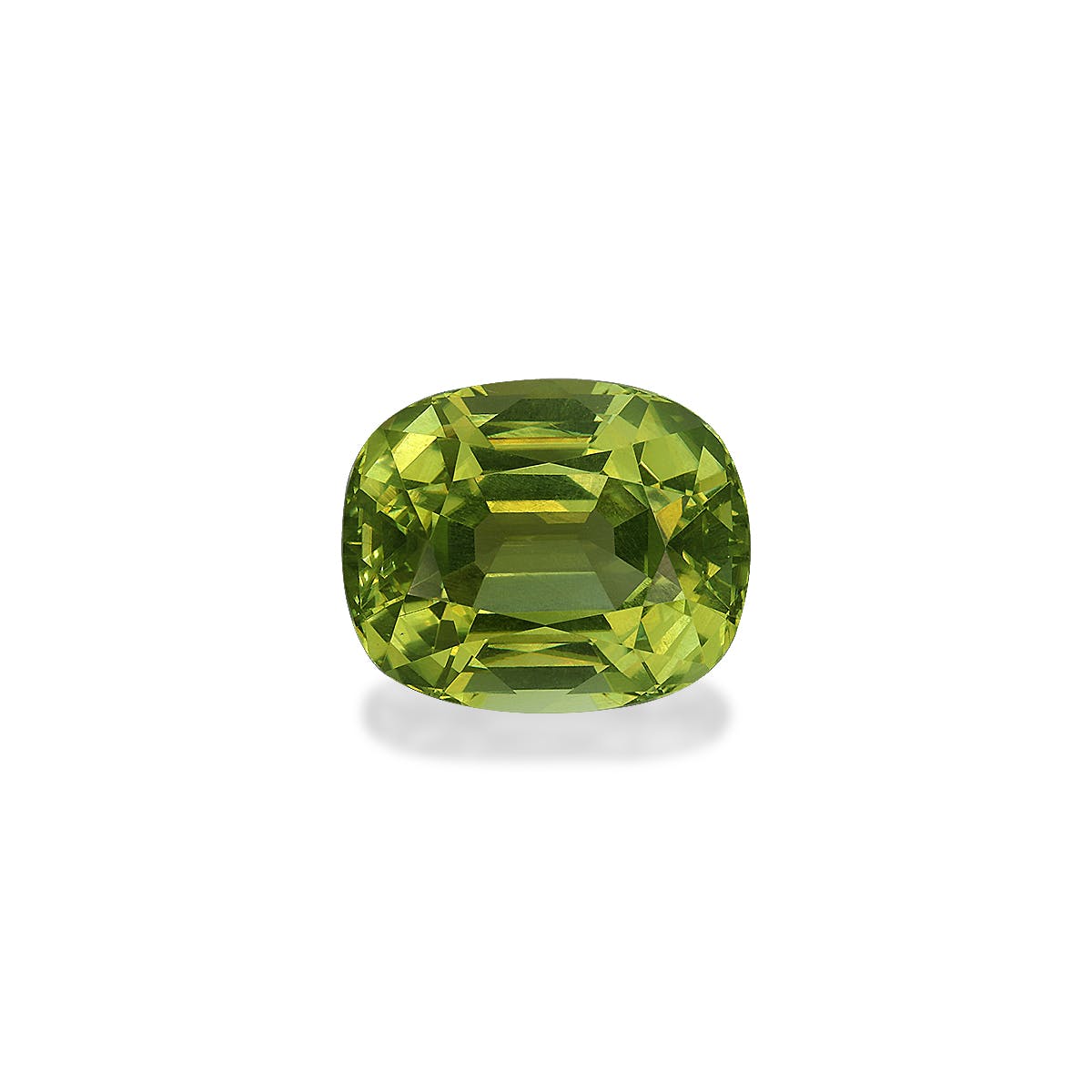 Cuprian Tourmaline Cushion Fine Step Cut Forest Green