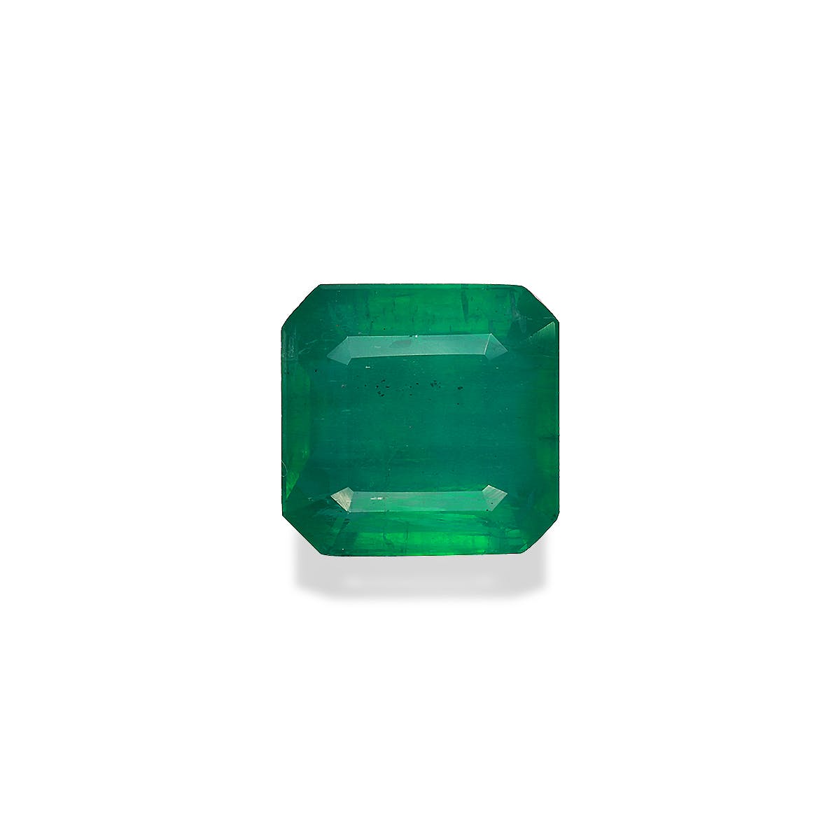 Zambian Emerald Square Asscher Cut Green