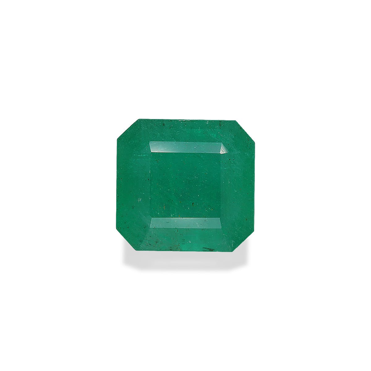 Zambian Emerald Square Emerald Cut Green