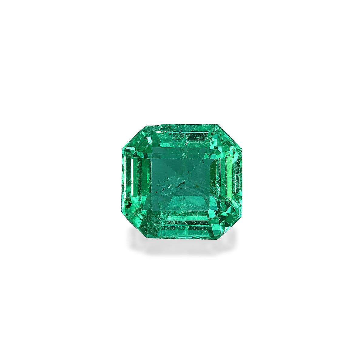 Zambian Emerald Square Asscher Cut Green