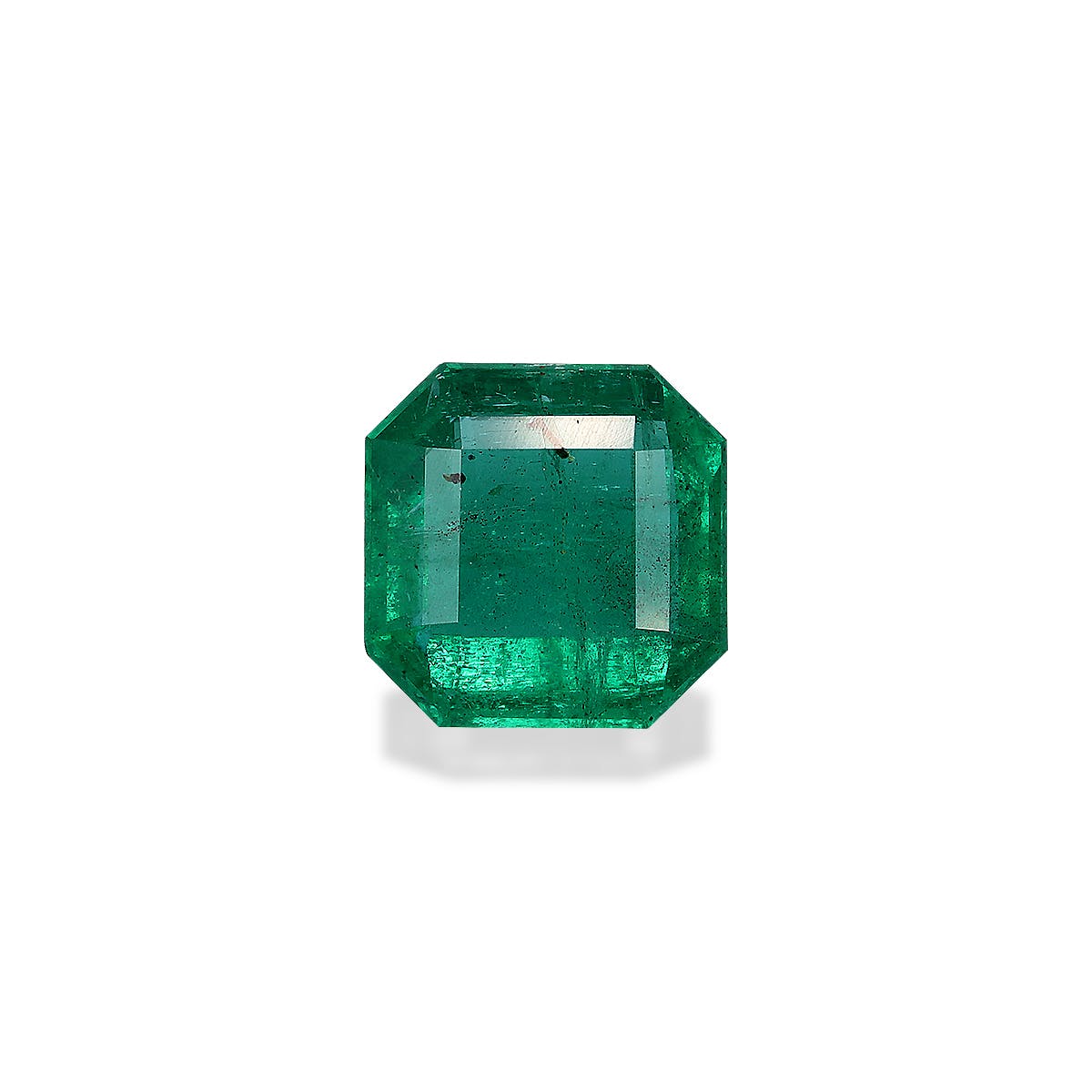 Zambian Emerald Square Asscher Cut Green