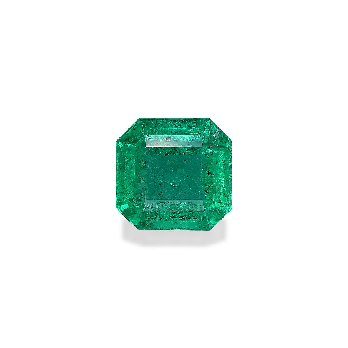 Zambian Emerald Square Asscher Cut Green