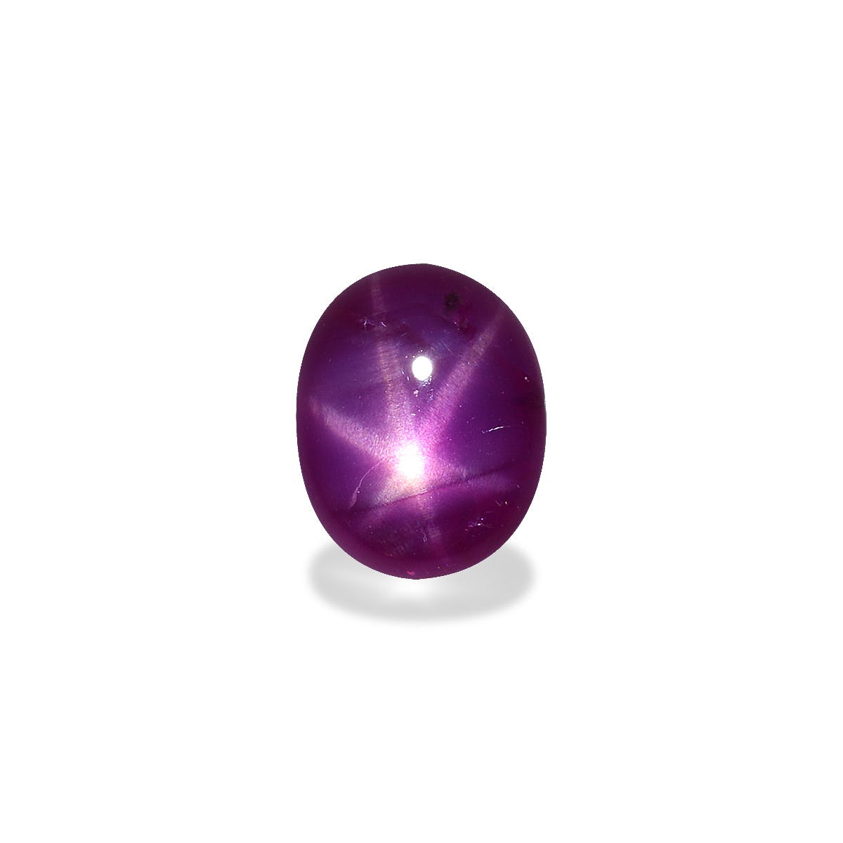 Star Ruby  Oval Cabochon Pink