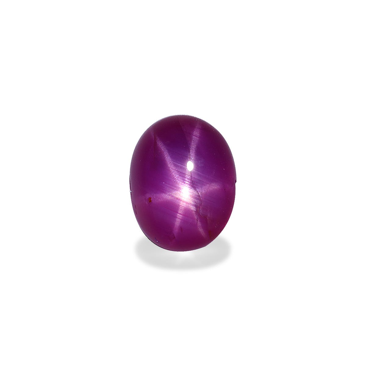 Star Ruby  Oval Cabochon Pink