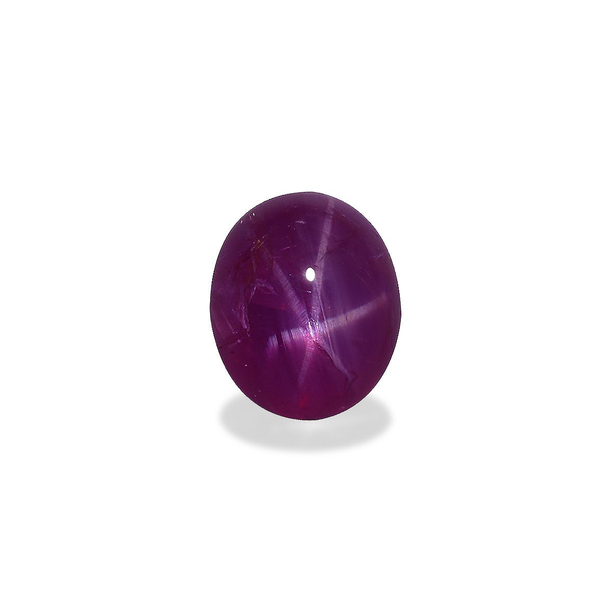 Star Ruby  Oval Cabochon Pink