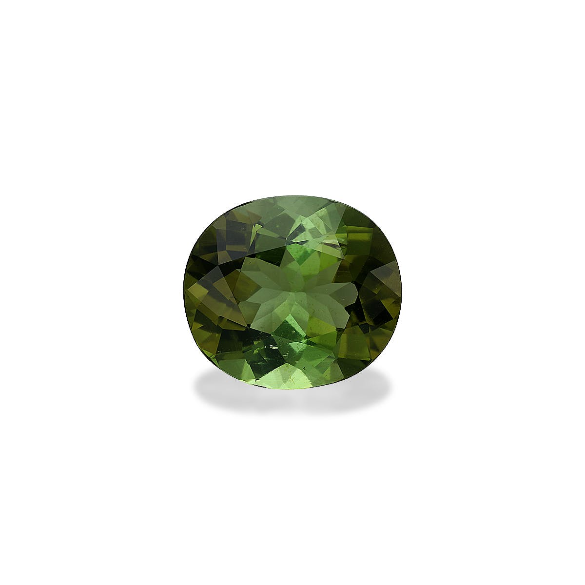 Green Tourmaline Cushion Modified Brilliant Cut Moss Green