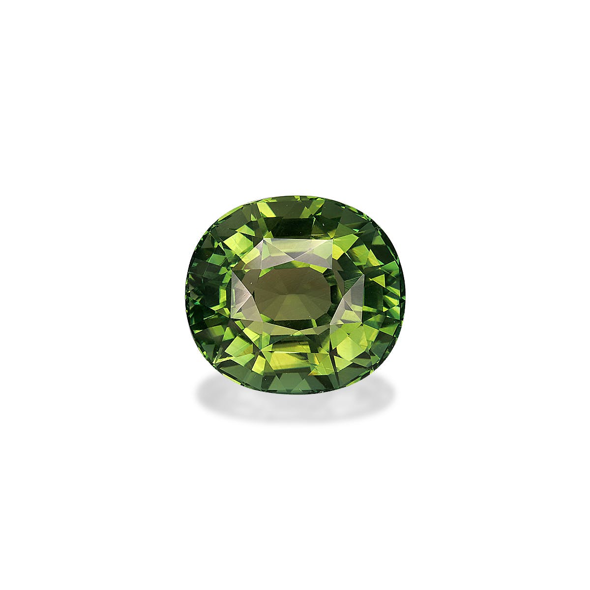 Green Tourmaline Oval Fine Step Cut Green