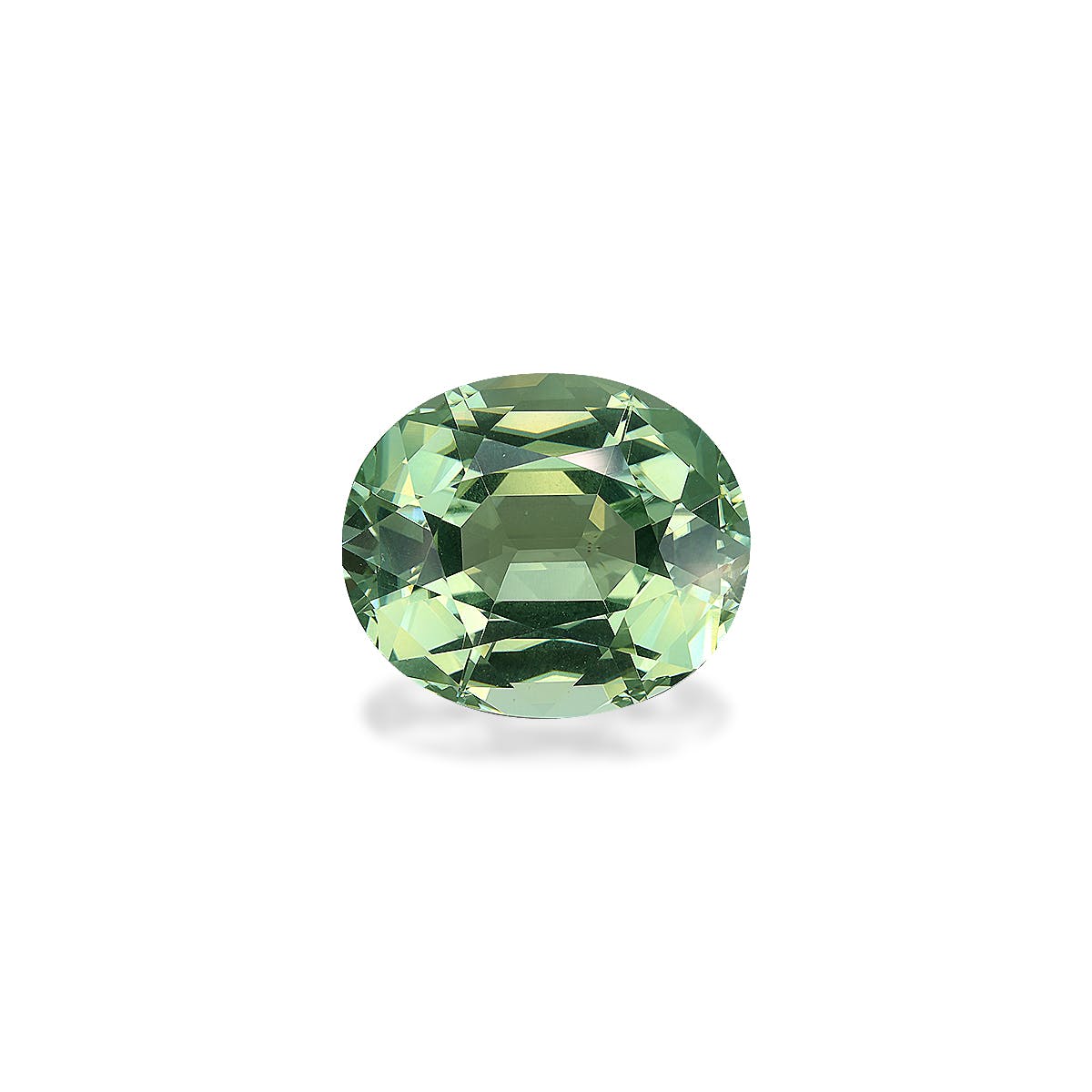 Green Tourmaline Oval  Green