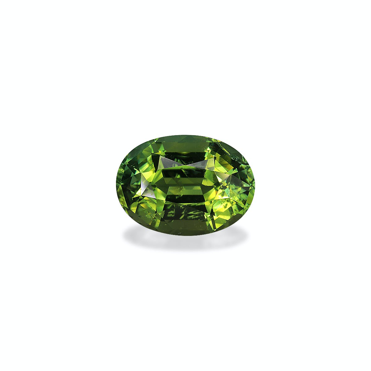 Green Tourmaline Oval Fine Step Cut Moss Green