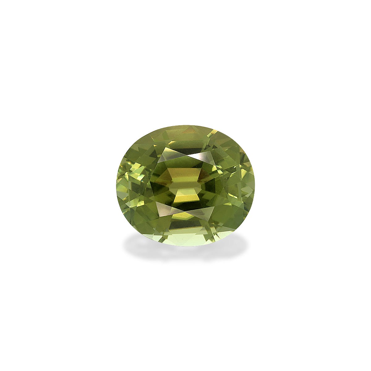 Green Tourmaline Oval Fine Step Cut Forest Green