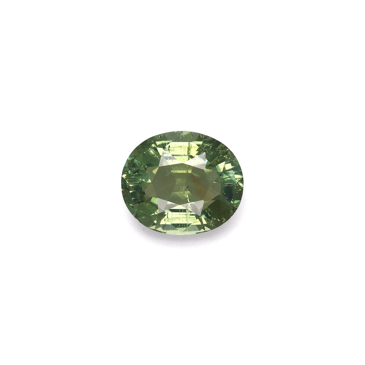 Green Tourmaline Oval Fine Step Cut Green