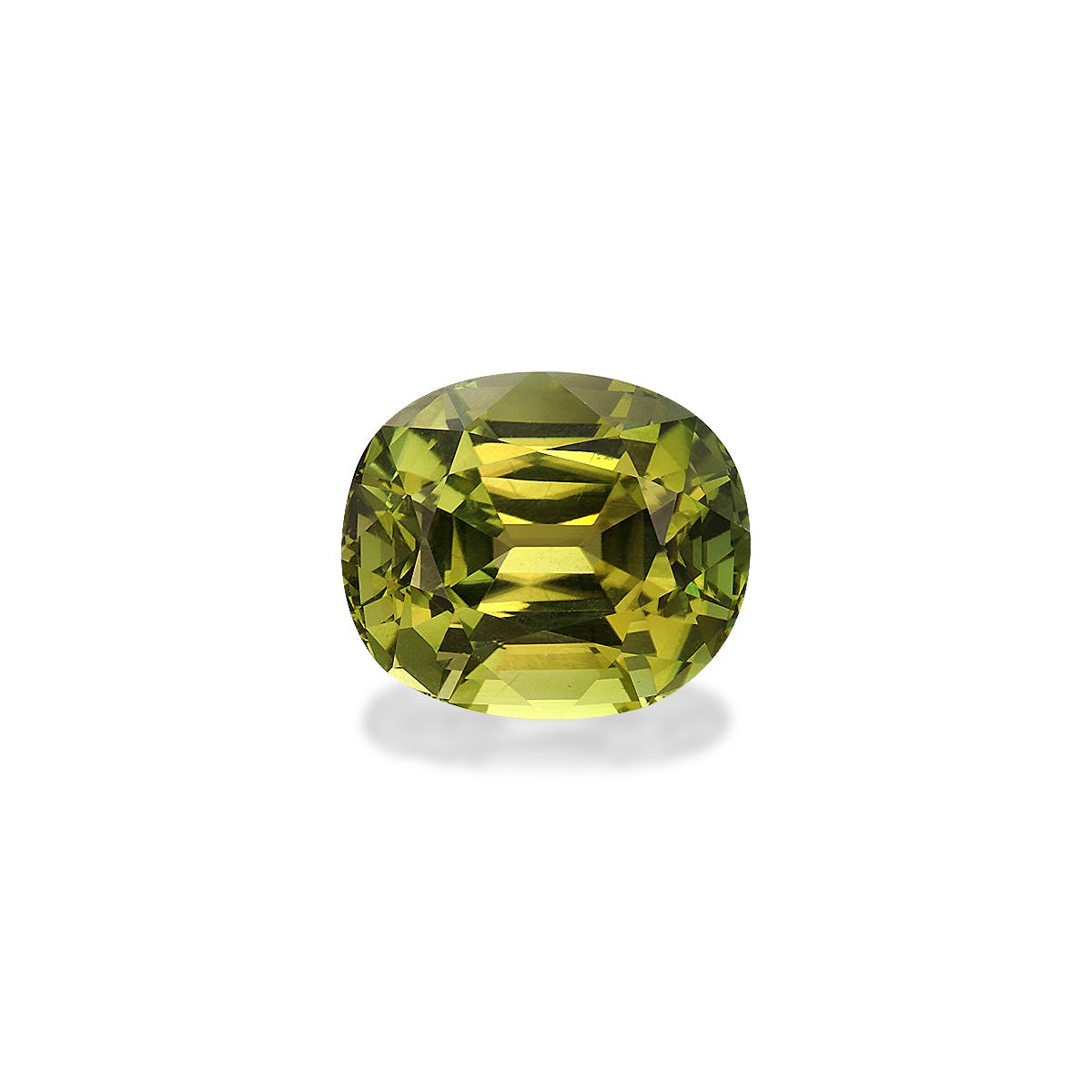 Green Tourmaline Cushion Fine Step Cut Forest Green