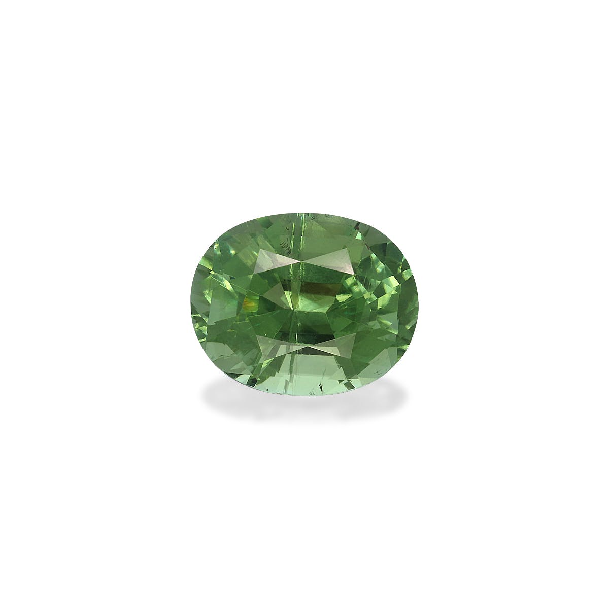 Green Tourmaline Oval Fine Step Cut Green