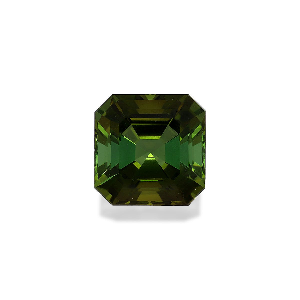 Green Tourmaline Square Asscher Cut Forest Green