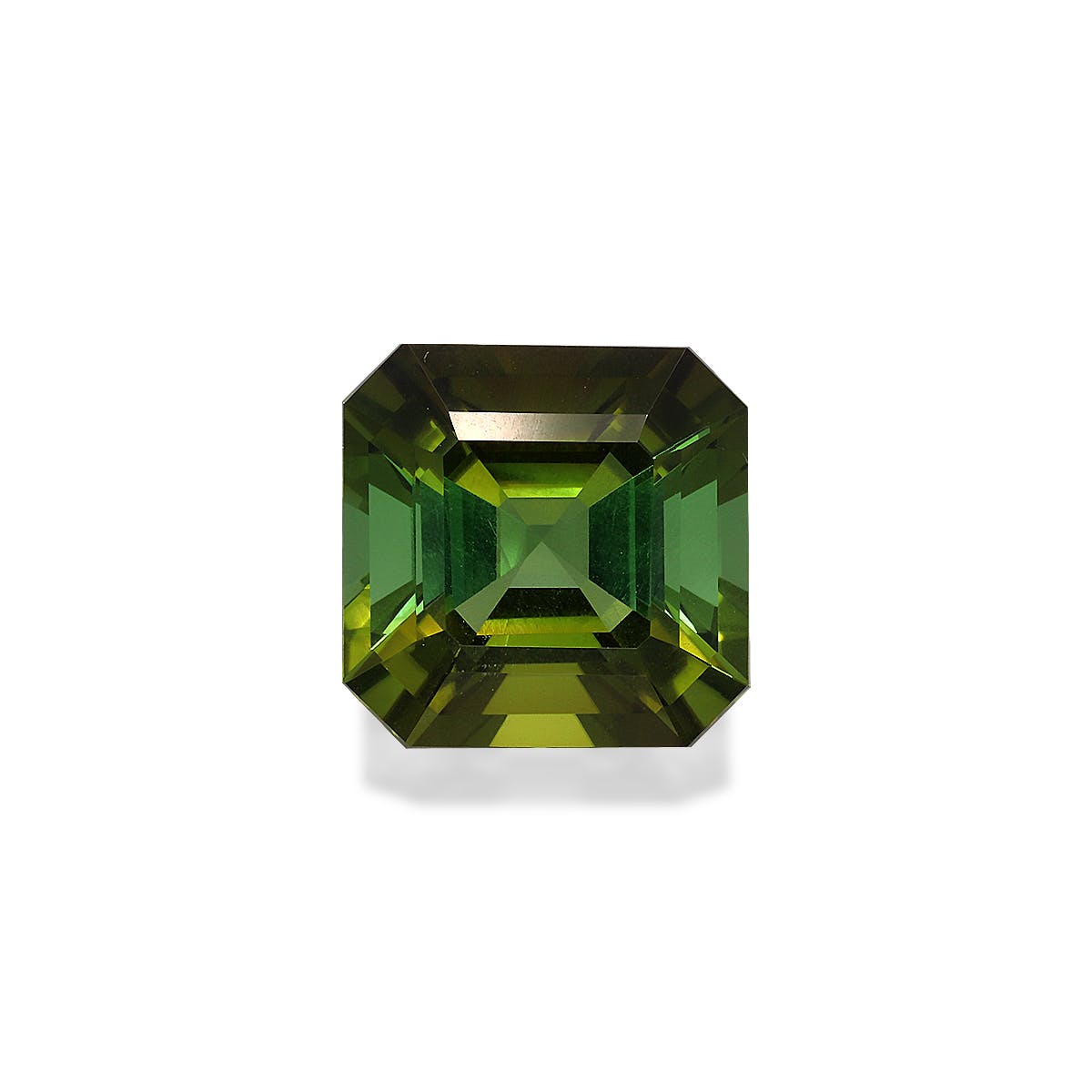 Green Tourmaline Square Asscher Cut Forest Green