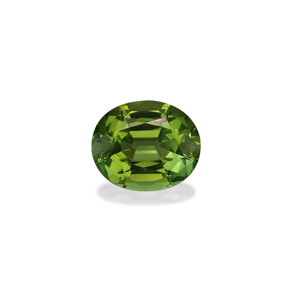 Green Tourmaline Oval Fine Step Cut Forest Green