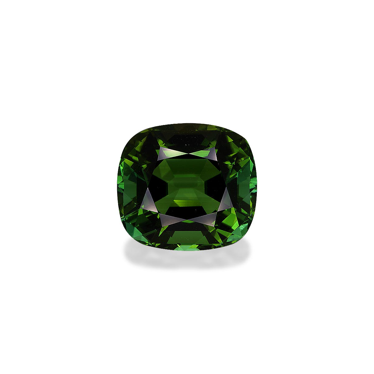 Green Tourmaline Cushion Fine Step Cut Forest Green