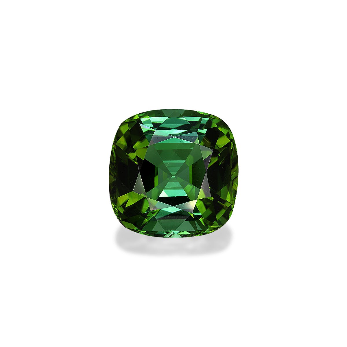 Green Tourmaline Cushion Fine Step Cut Forest Green