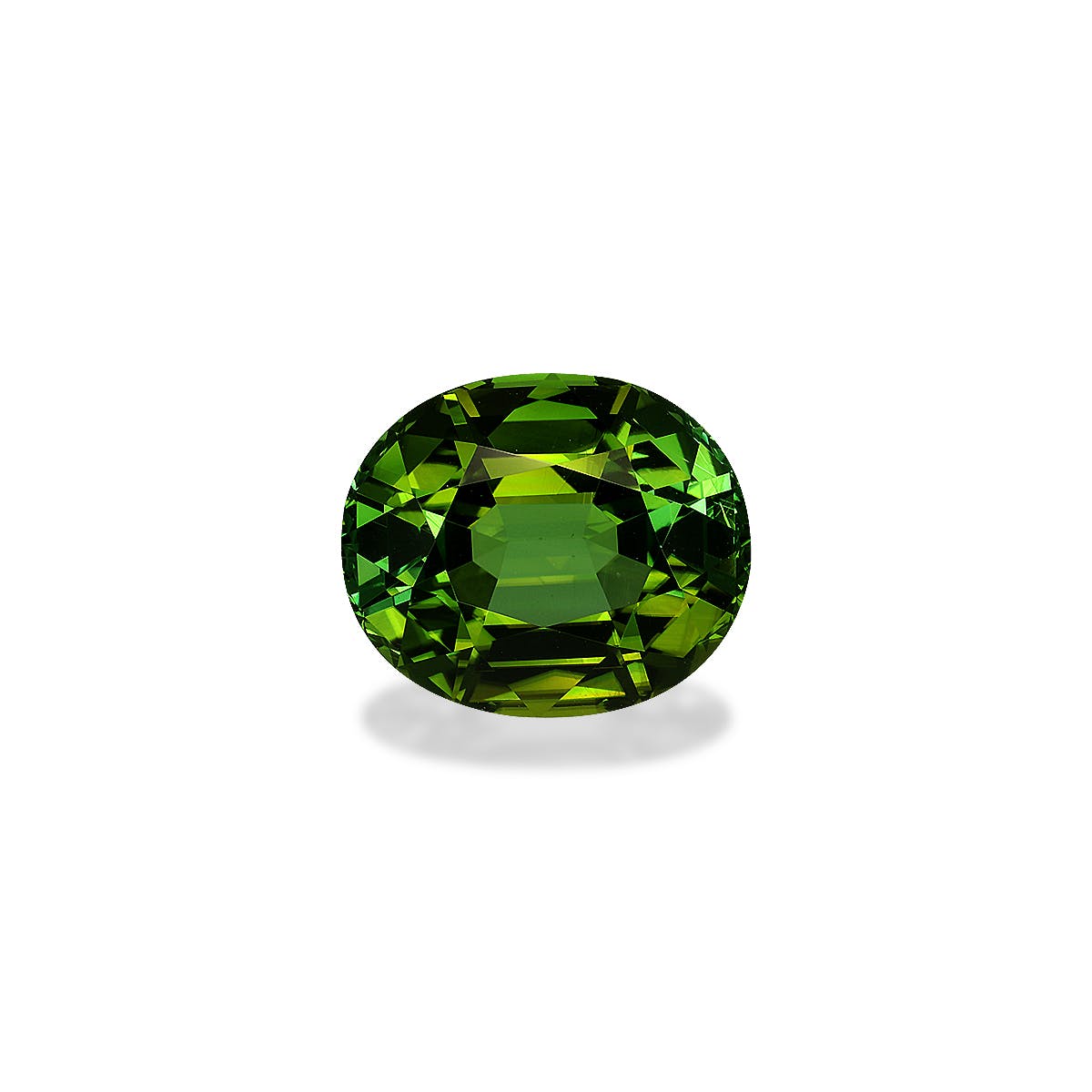 Green Tourmaline Oval  Green