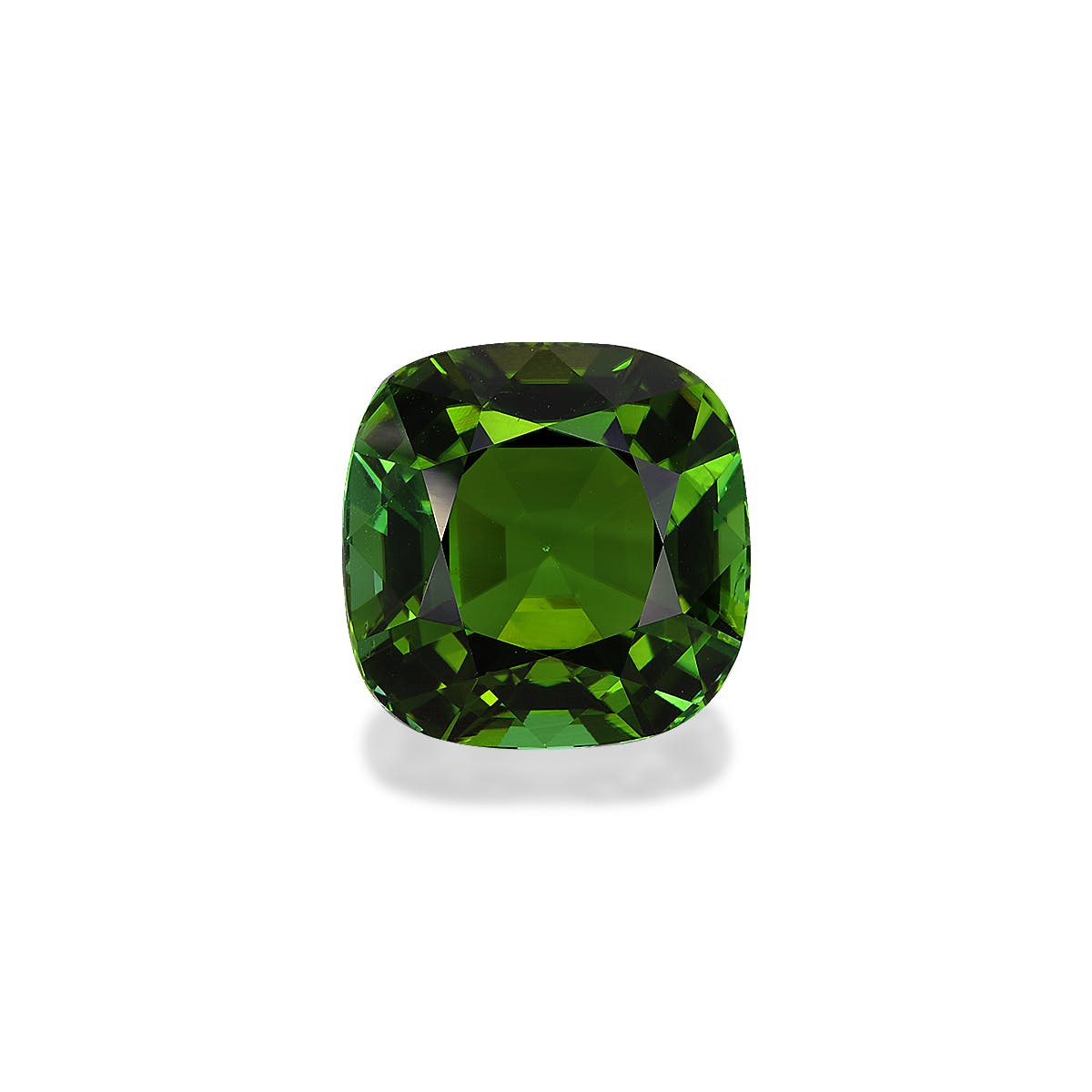 Green Tourmaline Cushion Fine Step Cut Forest Green