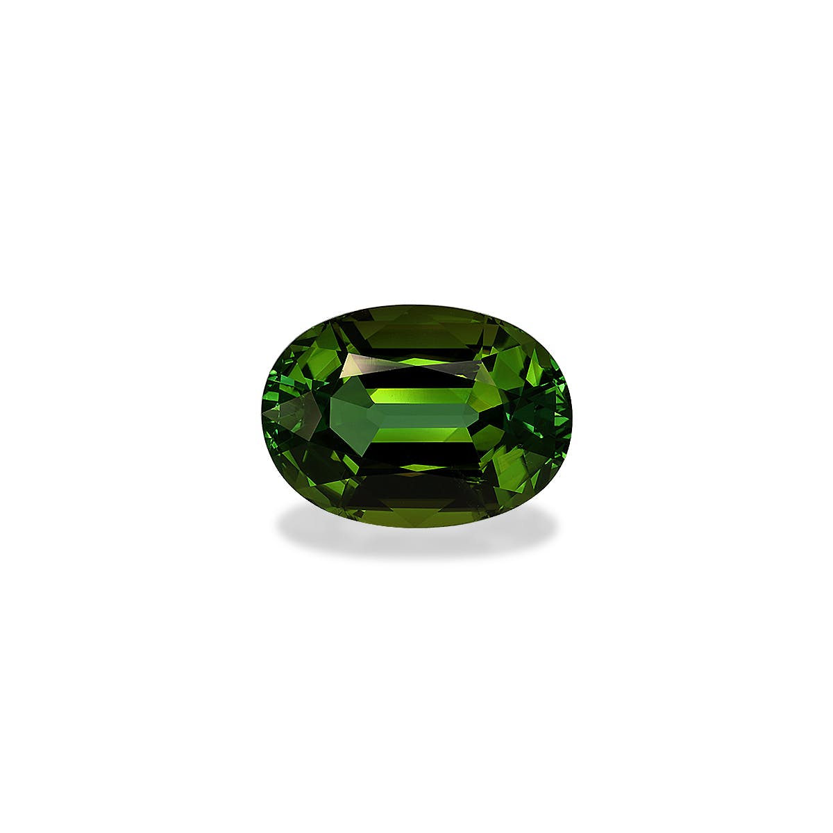 Green Tourmaline Oval Fine Step Cut Forest Green