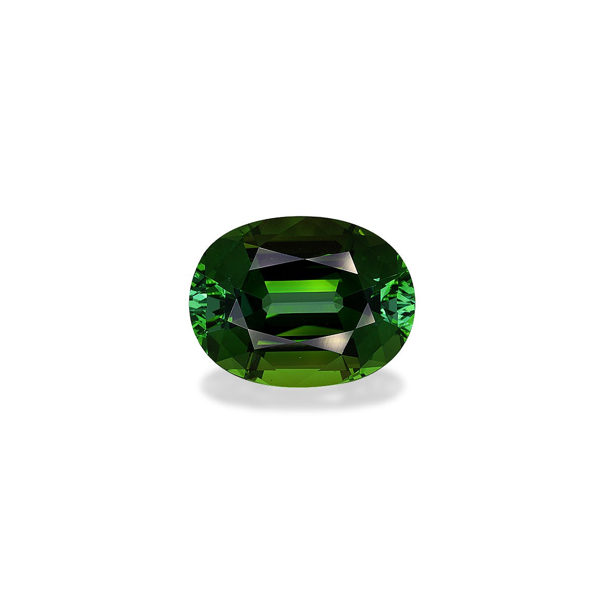 Green Tourmaline Oval Fine Step Cut Forest Green