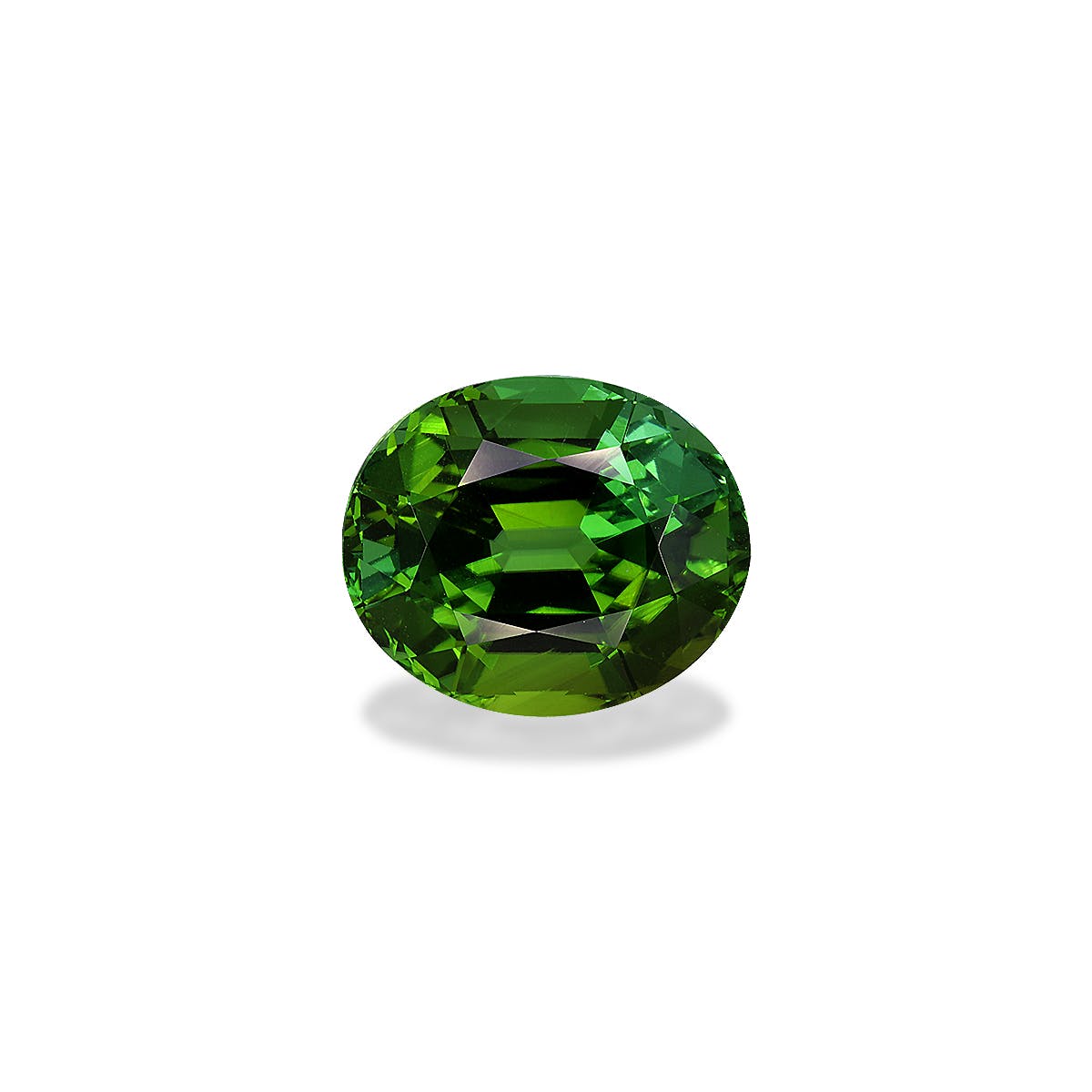 Green Tourmaline Oval Fine Step Cut Forest Green