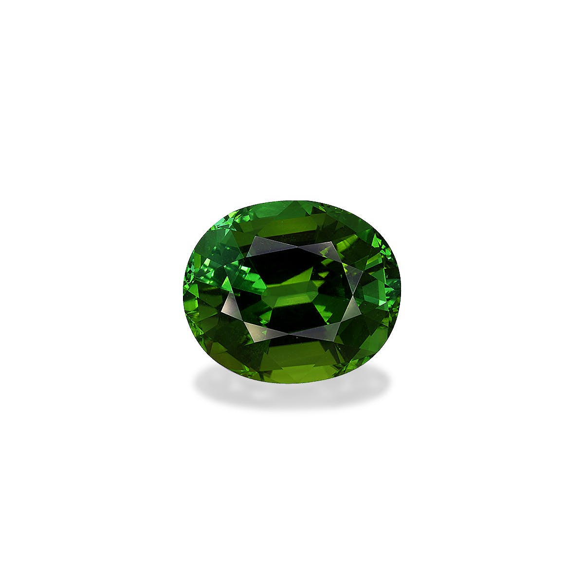 Green Tourmaline Oval Fine Step Cut Forest Green